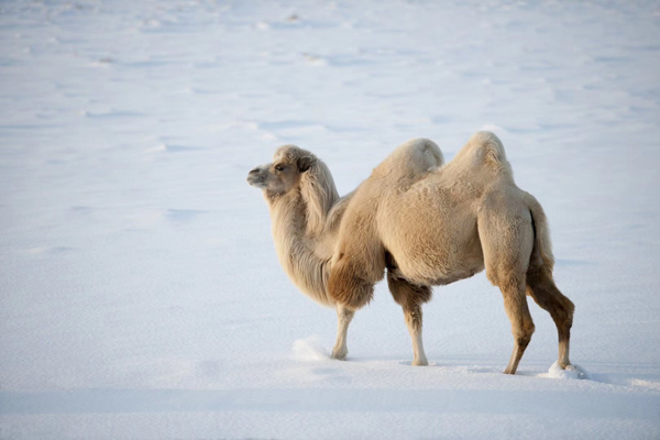 保暖不只是羽绒，这种材料保温又透湿（内附乐动网站图）