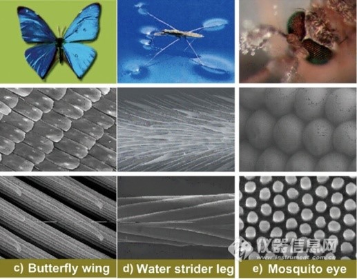 乐动网站开发 | 自清洁纺织品开发技术