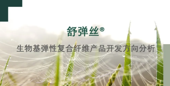 快看！舒弹丝?在乐动网站开发中的正确打开方式